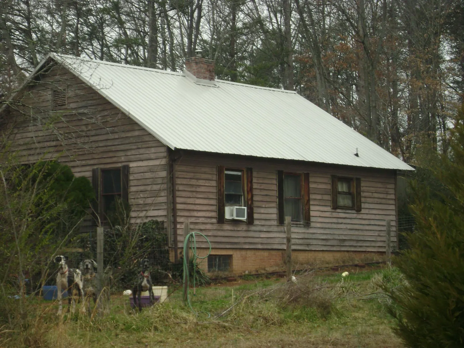 White metal roof on an old wood sided farmhouse, from a Asphalt Shingle Roof Repair job in Nebo